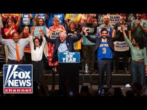 Read more about the article Carville issues STARK warning to Dems: ‘This is a bridge too far’