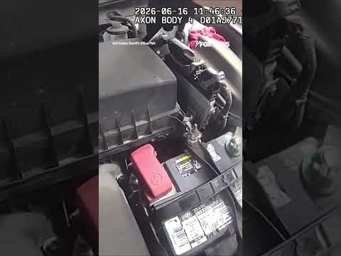 Read more about the article Kitten STUCK in car engine RESCUED by police officer #shorts #us #news #foxnews #cat #viral