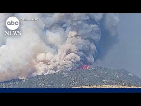 Read more about the article Good Morning America: News to start your day | June 28
