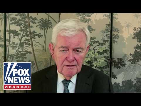 Read more about the article Newt Gingrich: This is the ‘heart’ of the American system