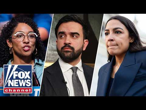 You are currently viewing Socialist surge EXPOSED for TEARING Dems apart