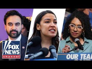 Read more about the article Democratic socialists stage ‘hard-left’ insurgency in NY primary