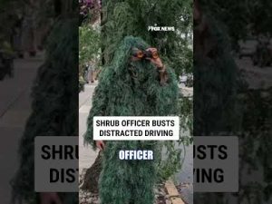 Read more about the article Undercover SHRUB OFFICER busts distracted driving #foxnews #news #us #fox