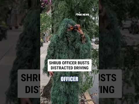 Read more about the article Undercover SHRUB OFFICER busts distracted driving #foxnews #news #us #fox