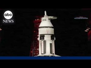 Read more about the article American mathematician Dr. Marion Lee Johnson celebrates achievements in space