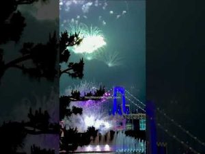 Read more about the article Japan Celebrated Independence Day Better Than The Democrats