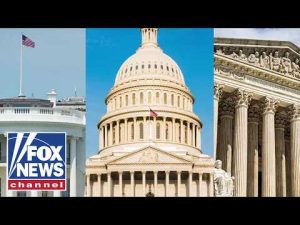 Read more about the article US system of government ‘ENSURES’ checks on power: Victor Davis Hanson