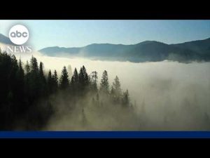 Read more about the article ‘7 Natural Wonders of America’: Appalachian Mountains