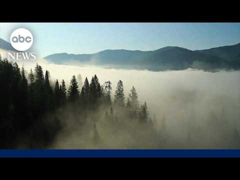 You are currently viewing ‘7 Natural Wonders of America’: Appalachian Mountains