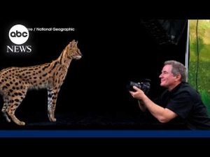 Read more about the article Photographer shares close-up of world’s most fascinating species
