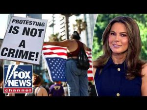 Read more about the article Lisa Boothe: This is DANGEROUS