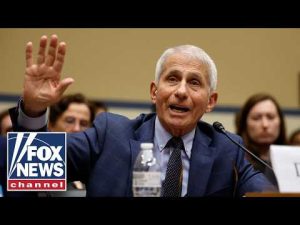 Read more about the article NEW DETAILS emerge after secret Fauci files are declassified