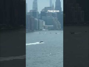 Read more about the article DRAMATIC RESCUE in New York City’s East River after a small plane went down #shorts #foxnews #news