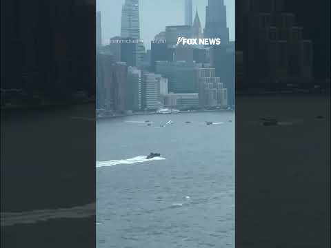 Read more about the article DRAMATIC RESCUE in New York City’s East River after a small plane went down #shorts #foxnews #news