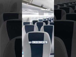Read more about the article ‘BIG BANG’: Delta flight reports firework strike #foxnews #news #shorts #delta
