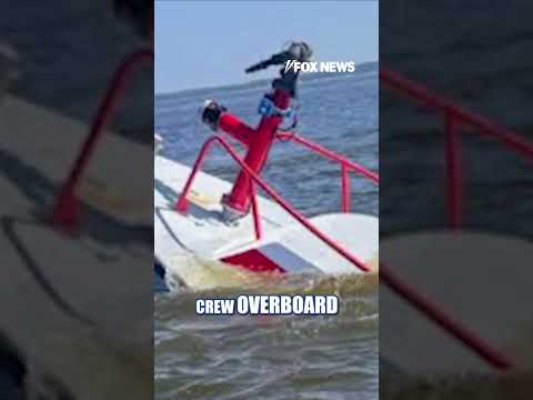 Read more about the article WATCH: Whale sinks boat after July 4 celebrations #foxnews #news #shorts #animals #ocean