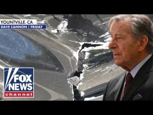 Read more about the article Paul Pelosi faces possible HIT-AND-RUN charge after car crash