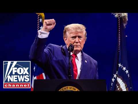Read more about the article JUST IN: NATO allies to take MAJOR action ahead of summit with Trump