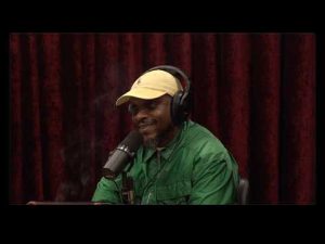 Read more about the article Joe Rogan Experience #2523 – Ali Siddiq