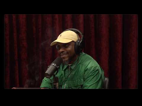 Read more about the article Joe Rogan Experience #2523 – Ali Siddiq
