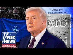 Read more about the article NATO is designed to ‘DETER RUSSIAN AGGRESSION’: Former ambassador at-large