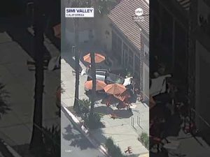 Read more about the article Woman killed after Tesla driver crashes into cafe’s outdoor seating
