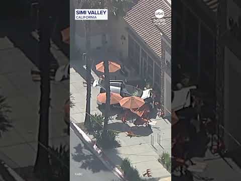Read more about the article Woman killed after Tesla driver crashes into cafe’s outdoor seating
