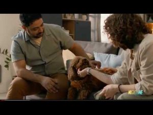 Read more about the article Pet owners are going to extreme lengths to pamper the pups they call family