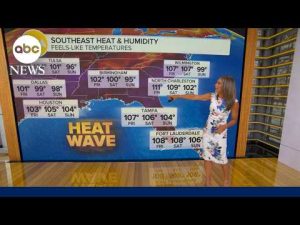 Read more about the article Tracking the extreme heat in the South