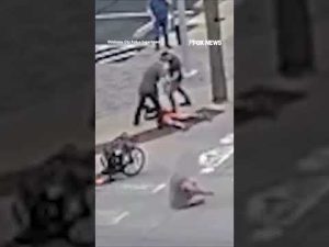 Read more about the article Suspect arrested after throwing Molotov cocktail at man in wheelchair #shorts #us #news #foxnews