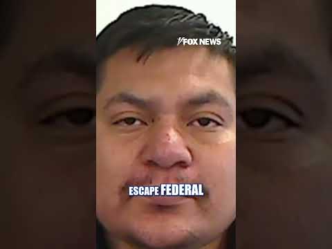 Read more about the article Judge avoids jail time after helping migrant evade ICE #shorts #foxnews #us #immigration