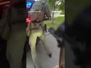 Read more about the article Attempted murder suspect leads police on CHASE across GOLF COURSE #shorts #us #news #foxnews