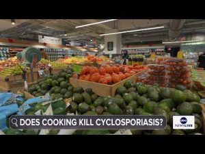 Read more about the article What you need to know about cyclosporiasis: How it spreads, how it’s treated
