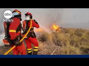 Read more about the article Spain hit by deadliest wildfire in years