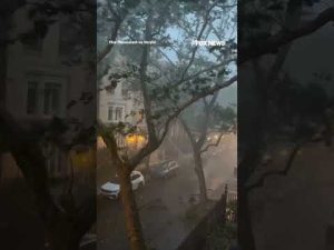 Read more about the article Trees fall onto parked cars as storm SLAMS NYC #foxnews #news #us #fox