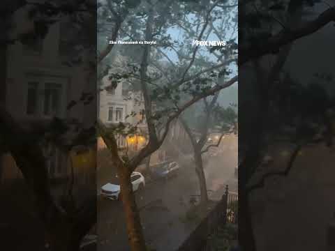 You are currently viewing Trees fall onto parked cars as storm SLAMS NYC #foxnews #news #us #fox