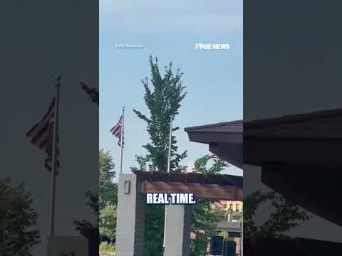 Read more about the article WATCH: American flag flies UPSIDE DOWN at Somali event in Minnesota #shorts #usa #us #news