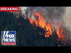 Read more about the article BREAKING: 12 dead, dozens missing in Spain wildfire