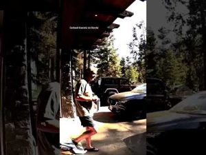 Read more about the article CLOSE CALL: Lake Tahoe homeowner says bear charged at him after rummaging through family’s garbage