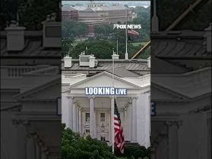 Read more about the article White House lowers flag to half-staff for Lindsey Graham #shorts #us #news #breakingnews