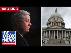 Read more about the article BREAKING: DC medical examiner releases preliminary findings in Lindsey Graham’s death