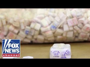 Read more about the article We’re working to SAVE American lives: ‘Drug czar’ Sara Carter