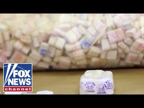 Read more about the article We’re working to SAVE American lives: ‘Drug czar’ Sara Carter