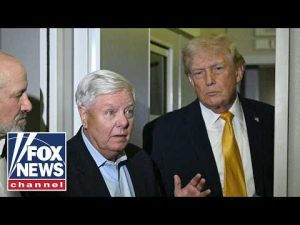 Read more about the article Trump backs Lindsey Graham’s sister for senate seat