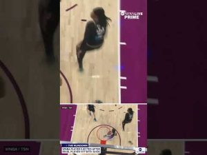 Read more about the article Betnijah Laney-Hamilton ejected after throwing shoe during game