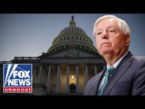Read more about the article REMEMBERING LINDSEY GRAHAM: Washington mourns as succession race begins
