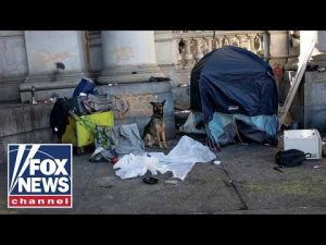 Read more about the article An inside look at a homeless encampment in Mamdani’s NYC