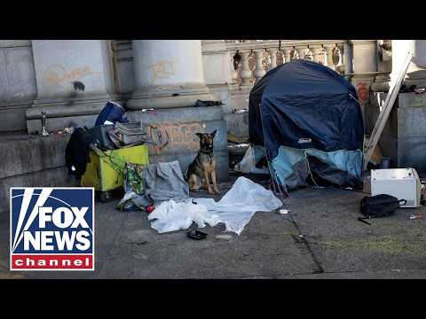 Read more about the article An inside look at a homeless encampment in Mamdani’s NYC