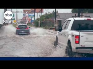 Read more about the article Torrential rains pound Texas overnight