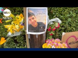 Read more about the article New video footage shows moments before deadly ICE shooting